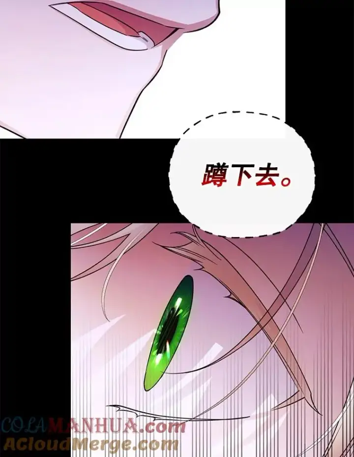 《如何隐藏皇帝的孩子》39.危急时刻图37