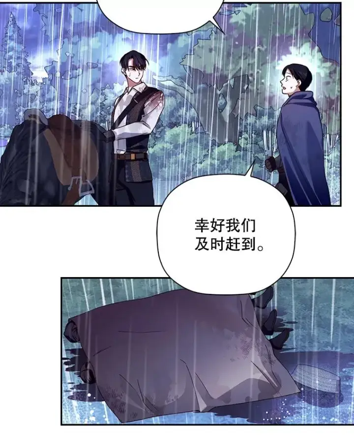 漫画《如何隐藏皇帝的孩子》40.重聚第66张图