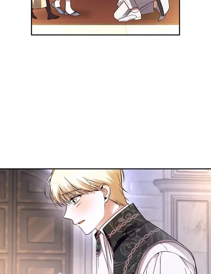 漫画《如何隐藏皇帝的孩子》43.兄妹第29张图