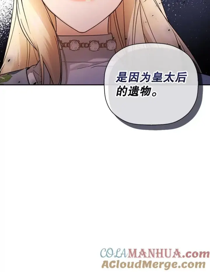 漫画《如何隐藏皇帝的孩子》43.兄妹第31张图