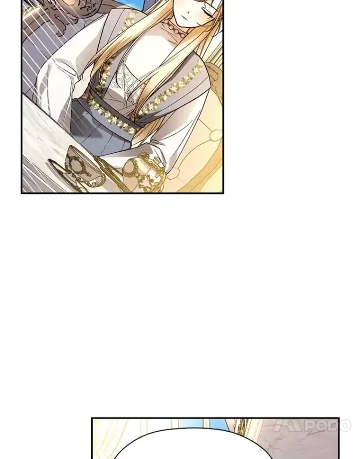漫画《如何隐藏皇帝的孩子》43.兄妹第41张图