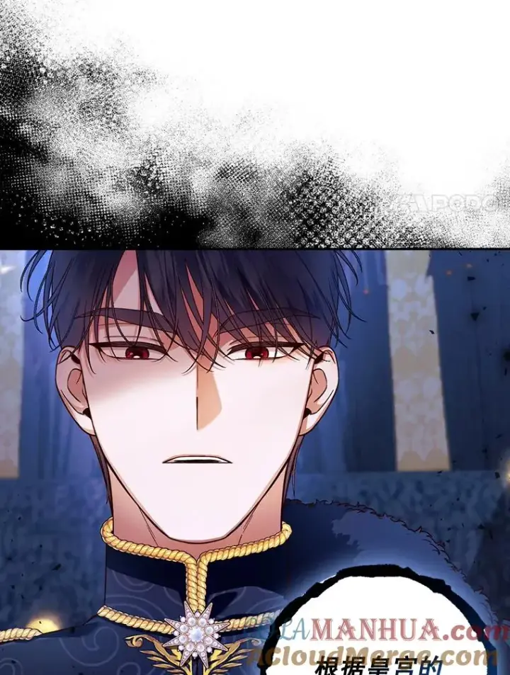 漫画《如何隐藏皇帝的孩子》43.兄妹第91张图