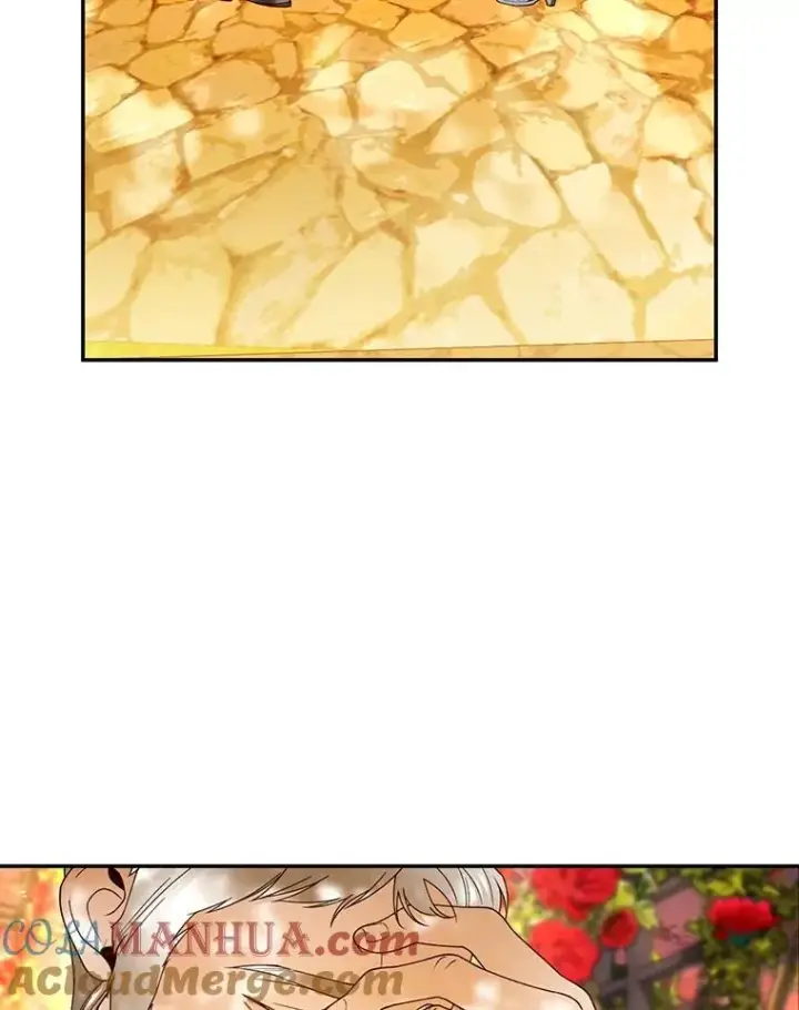 漫画《如何隐藏皇帝的孩子》52.不详的预感第5张图