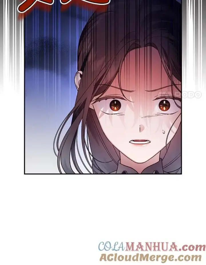 漫画《如何隐藏皇帝的孩子》53.尾随者第41张图