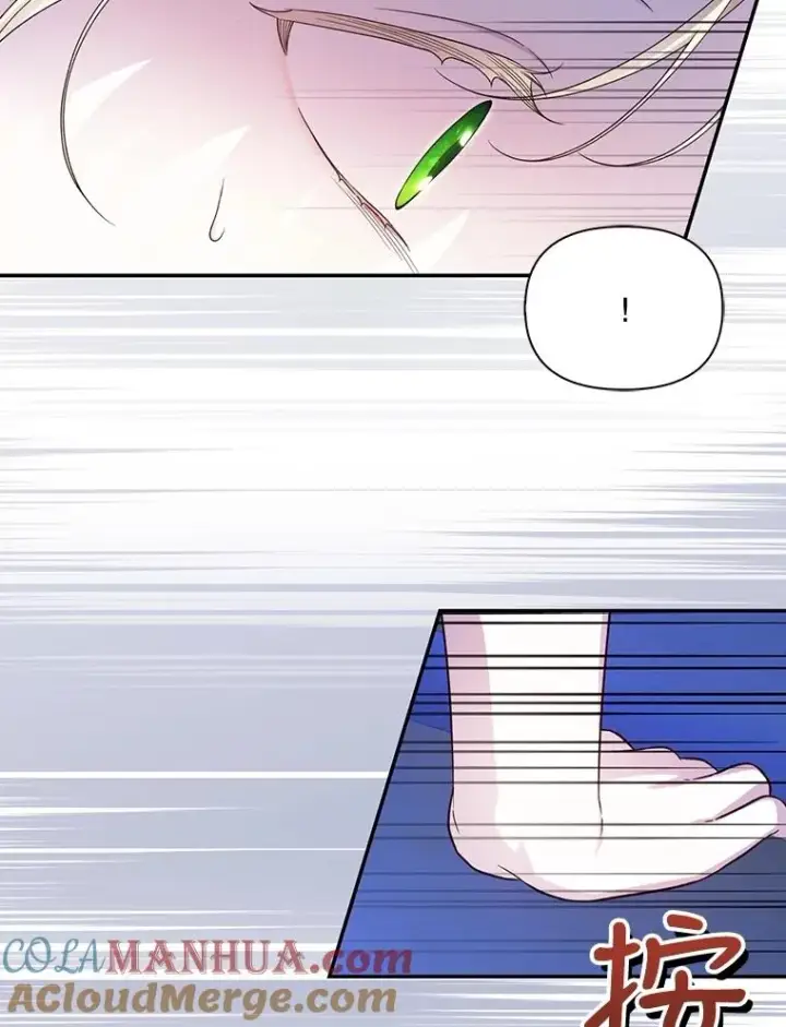 漫画《如何隐藏皇帝的孩子》56.晴天霹雳第65张图