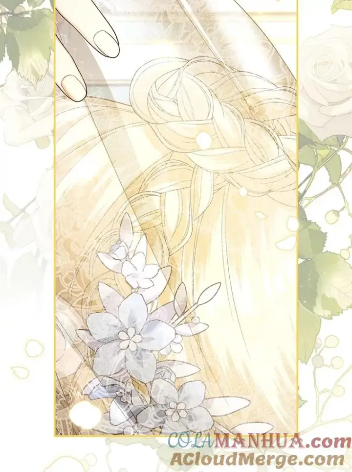 漫画《如何隐藏皇帝的孩子》65.第二次婚礼第29张图