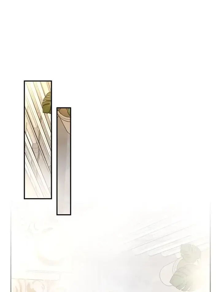 漫画《如何隐藏皇帝的孩子》65.第二次婚礼第82张图