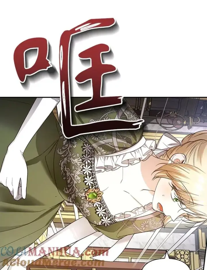 漫画《如何隐藏皇帝的孩子》73.流言蜚语第97张图
