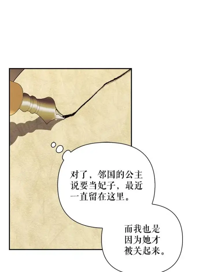 漫画《如何隐藏皇帝的孩子》75.误打误撞第42张图