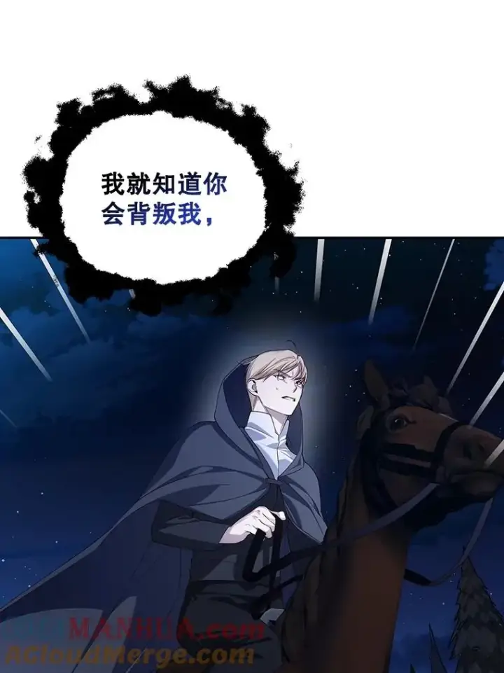 漫画《如何隐藏皇帝的孩子》75.误打误撞第97张图