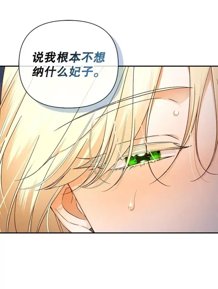 漫画《如何隐藏皇帝的孩子》76.下药第103张图