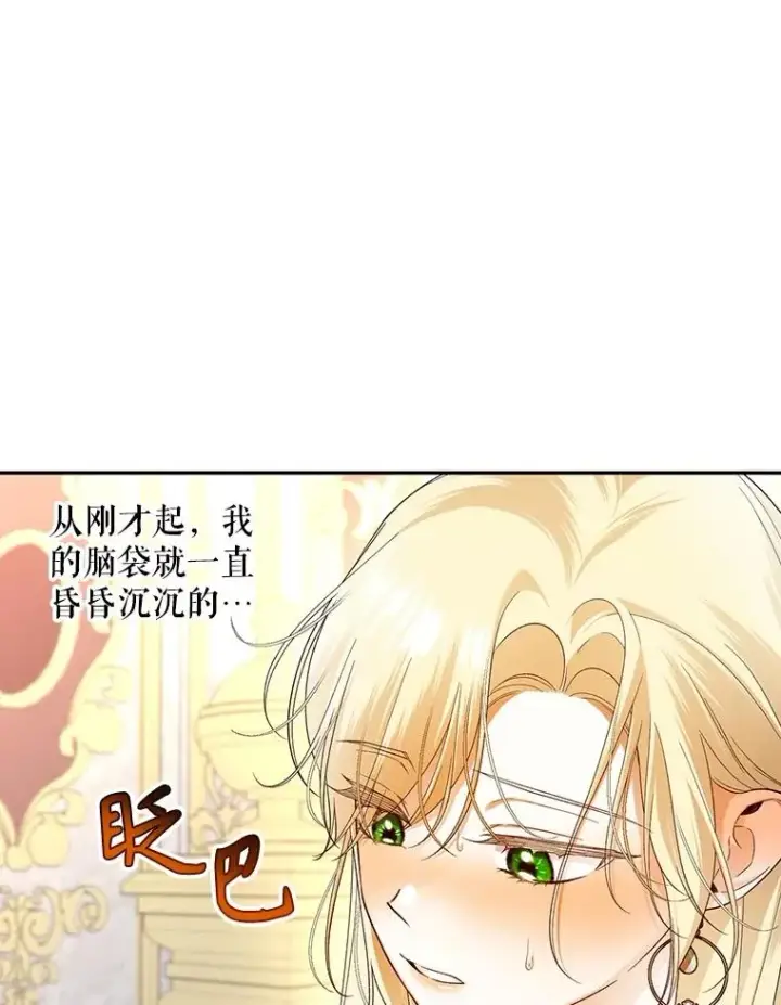 漫画《如何隐藏皇帝的孩子》76.下药第48张图
