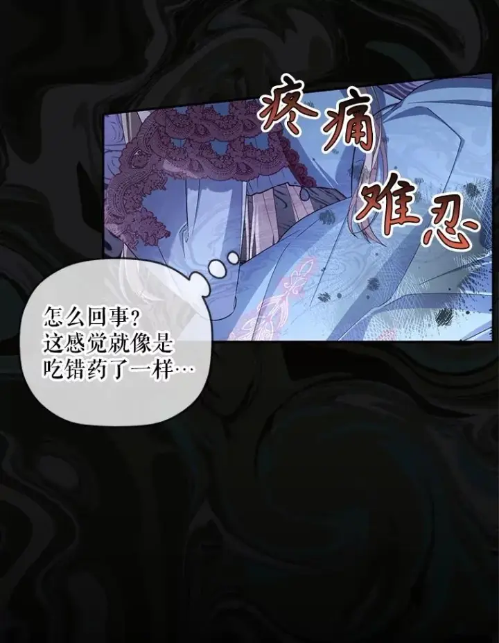 漫画《如何隐藏皇帝的孩子》76.下药第51张图