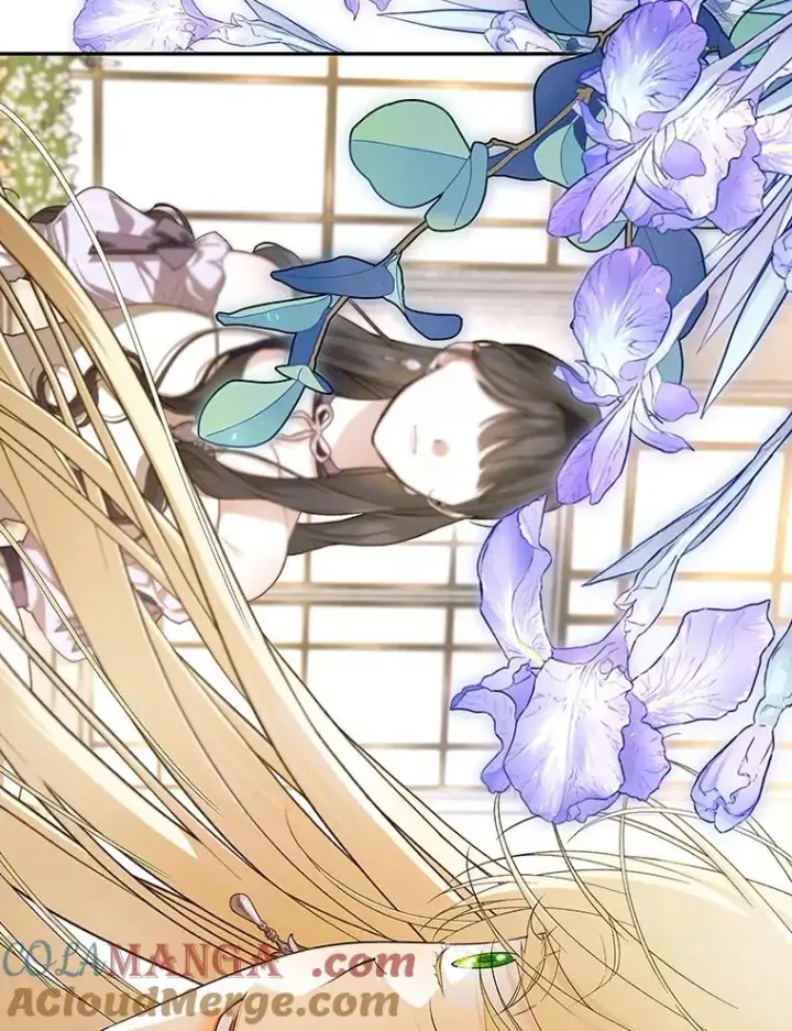 漫画《如何隐藏皇帝的孩子》81.谈判第105张图