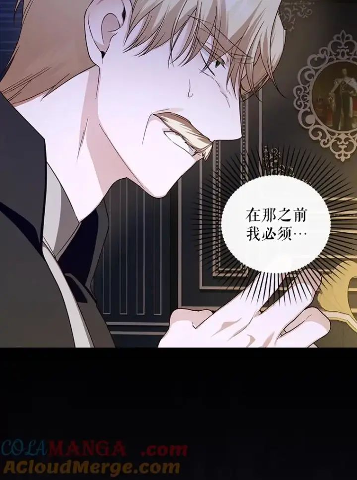 《如何隐藏皇帝的孩子》88.暴露身份图41