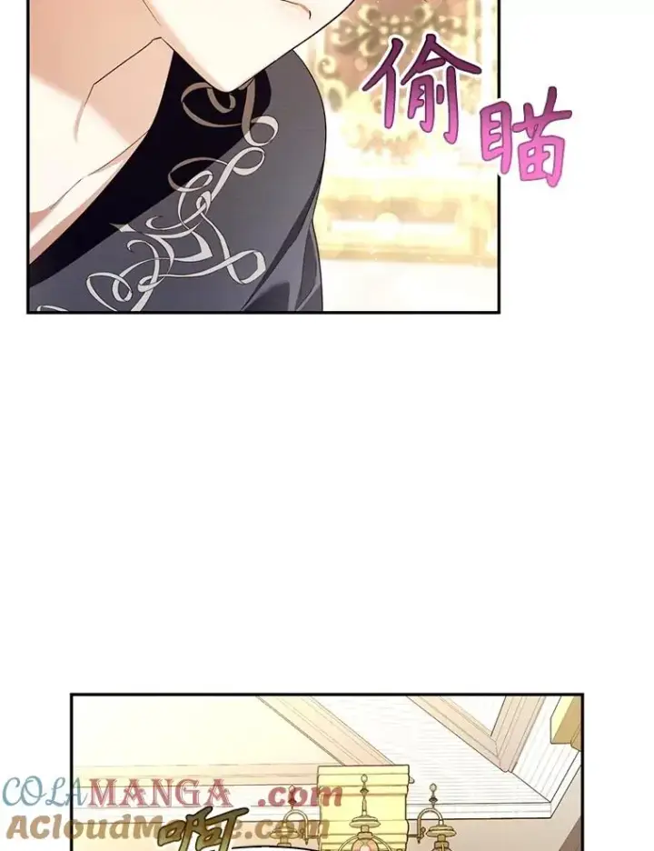 《如何隐藏皇帝的孩子》88.暴露身份图61