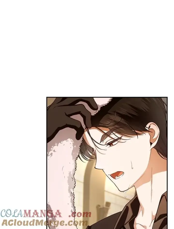 漫画《如何隐藏皇帝的孩子》89.连环意外第29张图