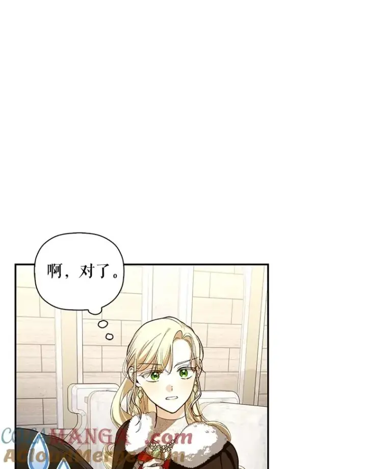 漫画《如何隐藏皇帝的孩子》89.连环意外第45张图