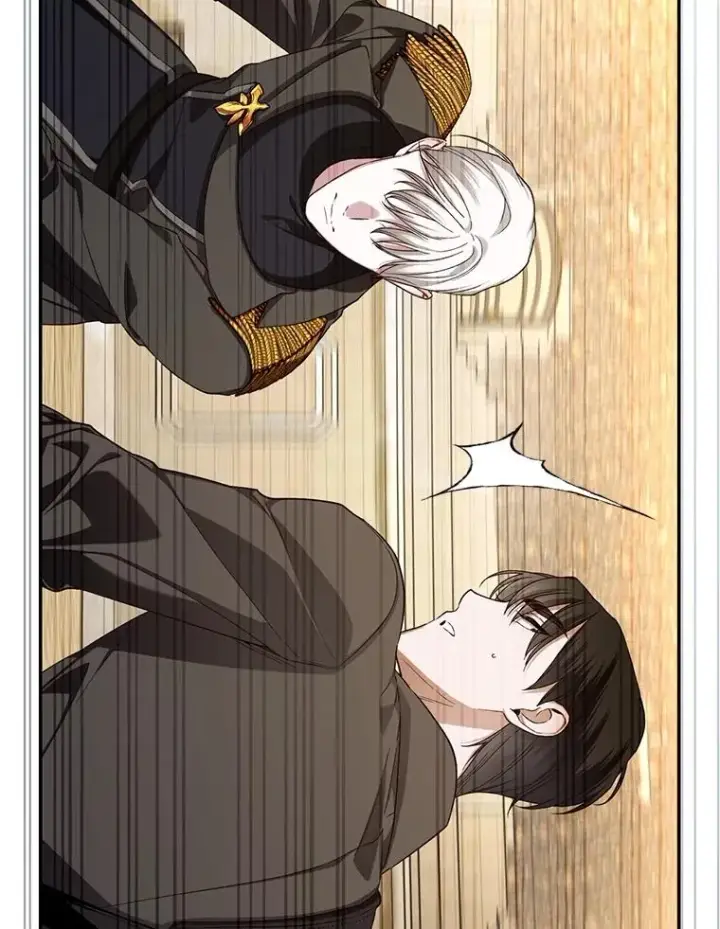 漫画《如何隐藏皇帝的孩子》89.连环意外第74张图