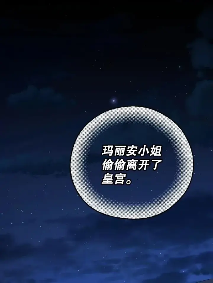 《如何隐藏皇帝的孩子》93.扑朔迷离图111