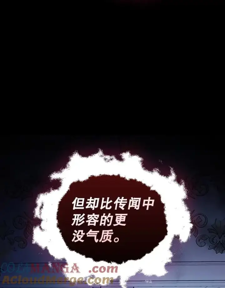 《如何隐藏皇帝的孩子》93.扑朔迷离图13