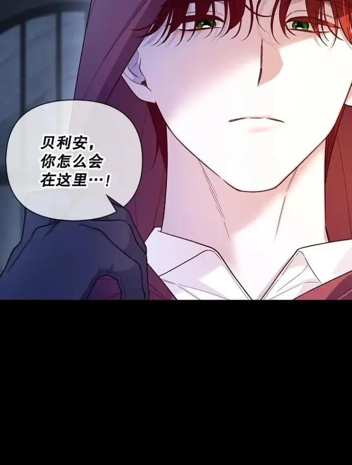 《如何隐藏皇帝的孩子》93.扑朔迷离图39