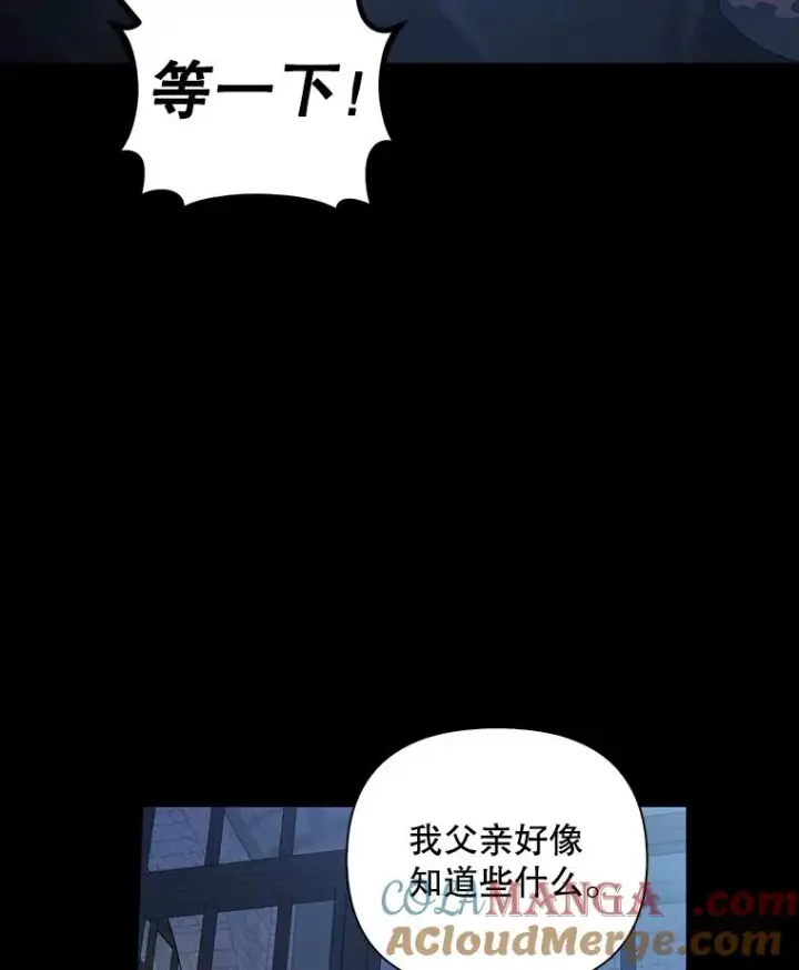 《如何隐藏皇帝的孩子》93.扑朔迷离图53