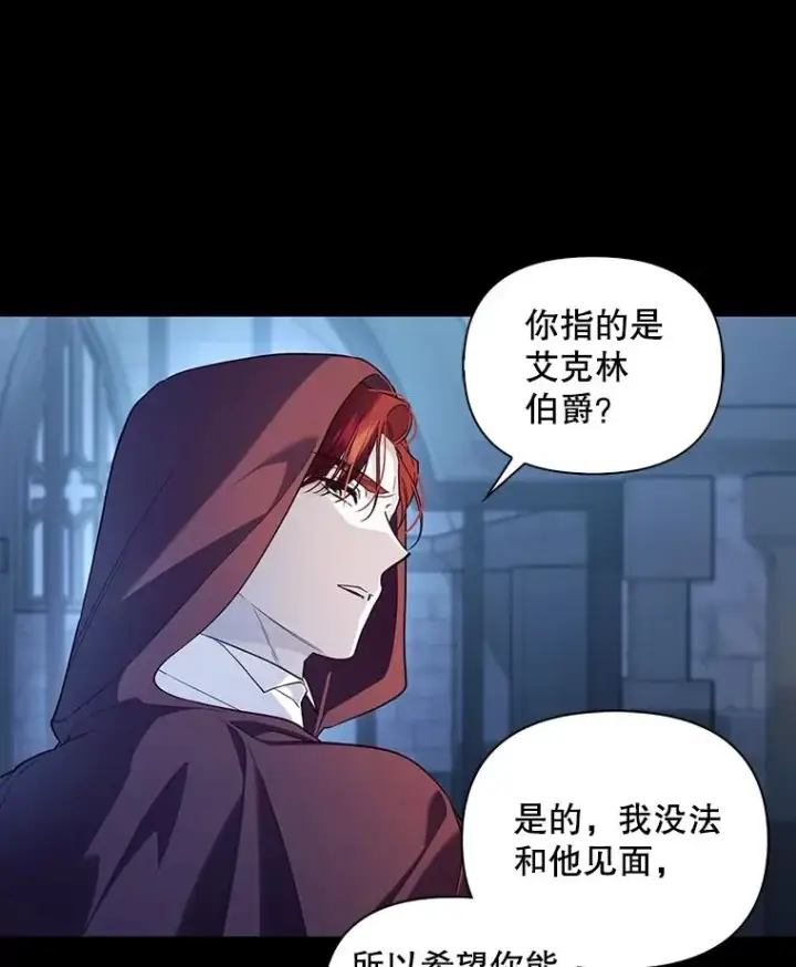 《如何隐藏皇帝的孩子》93.扑朔迷离图55