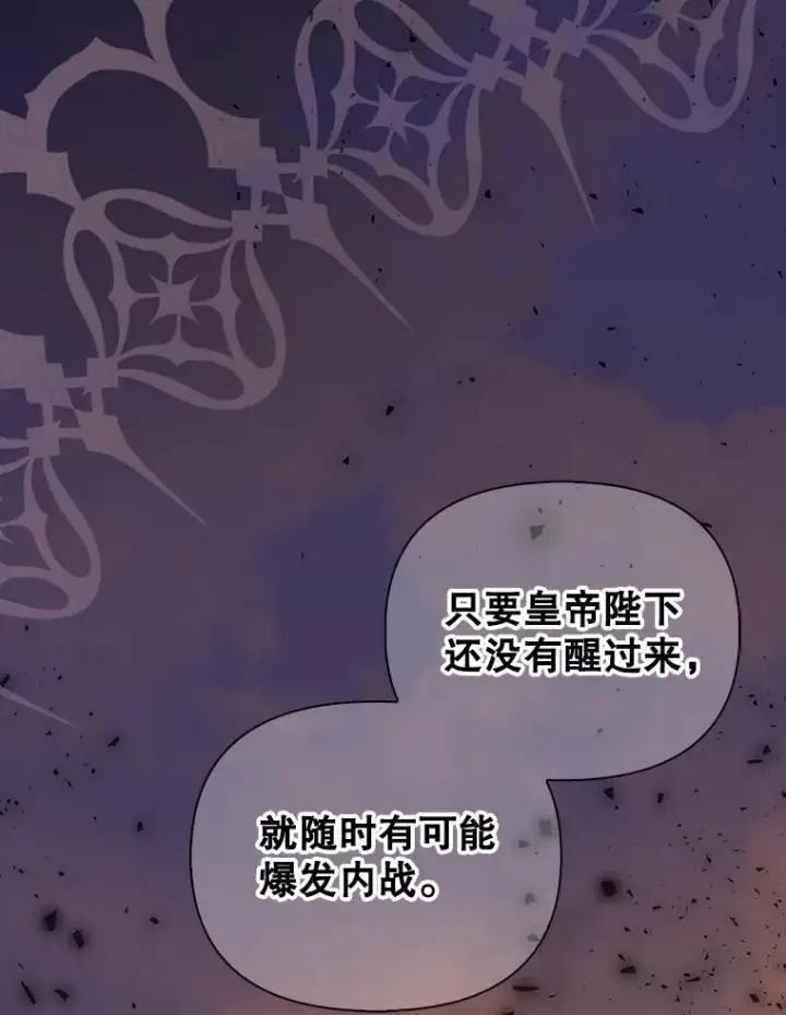 《如何隐藏皇帝的孩子》93.扑朔迷离图63