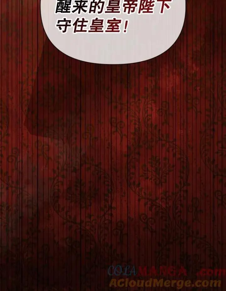 《如何隐藏皇帝的孩子》93.扑朔迷离图69
