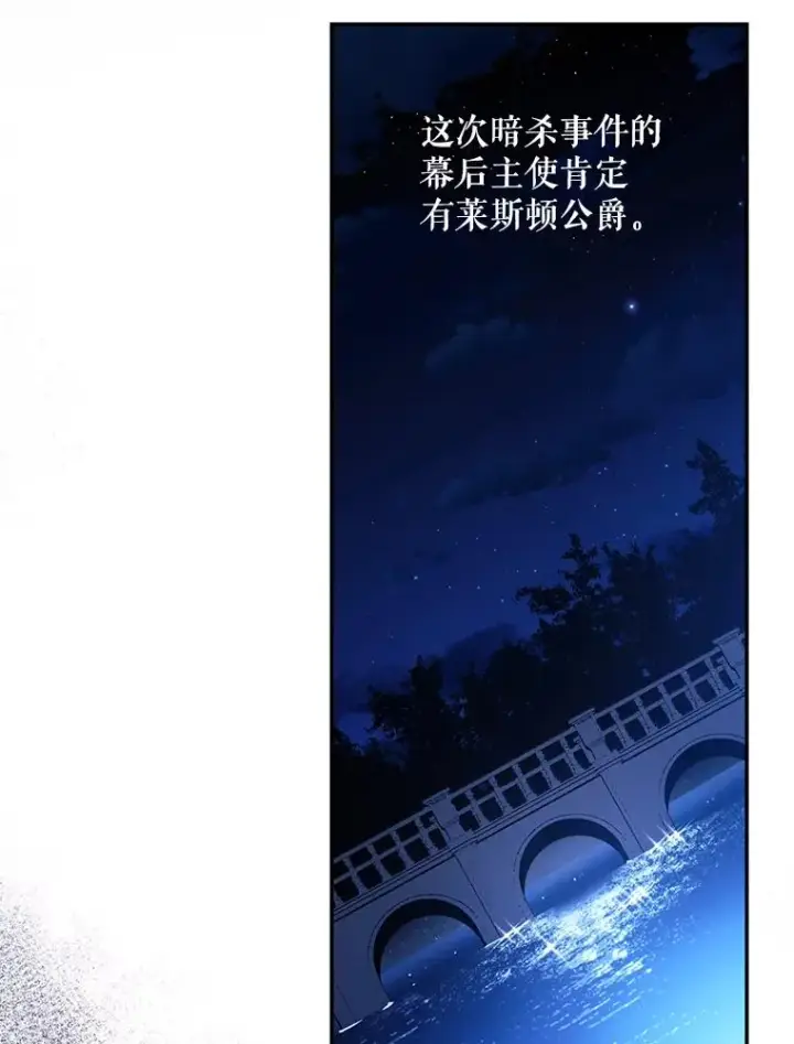 《如何隐藏皇帝的孩子》93.扑朔迷离图75