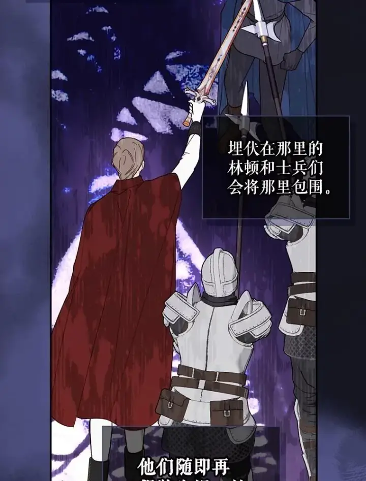 《如何隐藏皇帝的孩子》95.母亲的日记图14