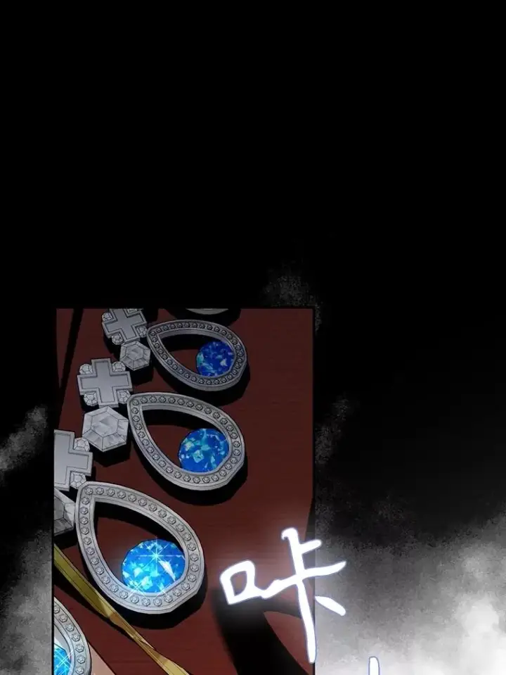《如何隐藏皇帝的孩子》95.母亲的日记图24