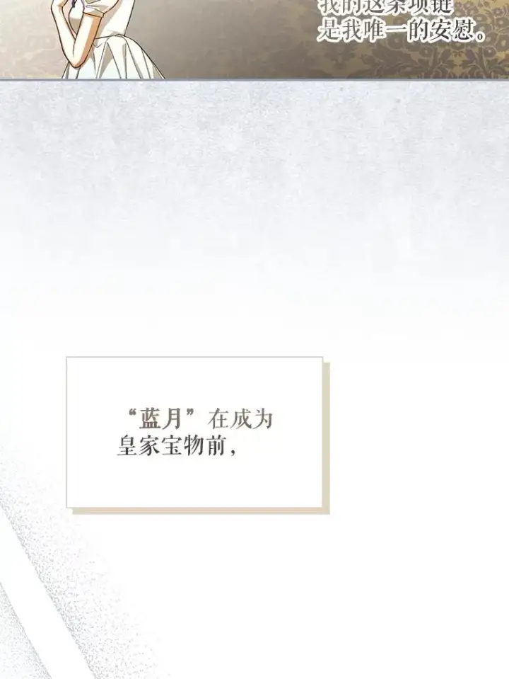 《如何隐藏皇帝的孩子》95.母亲的日记图28