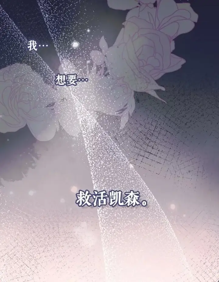 《如何隐藏皇帝的孩子》95.母亲的日记图35