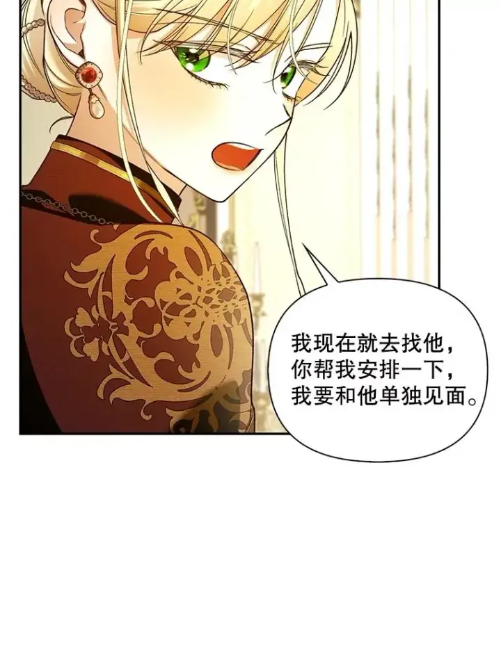 《如何隐藏皇帝的孩子》95.母亲的日记图48