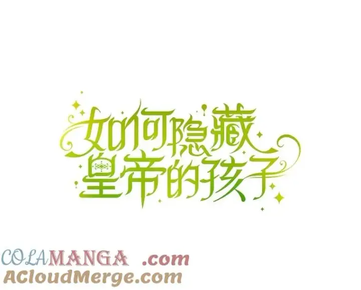 《如何隐藏皇帝的孩子》95.母亲的日记图49