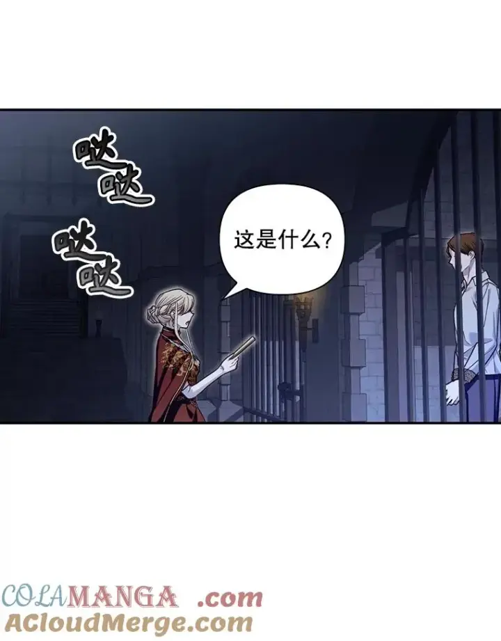 《如何隐藏皇帝的孩子》95.母亲的日记图61