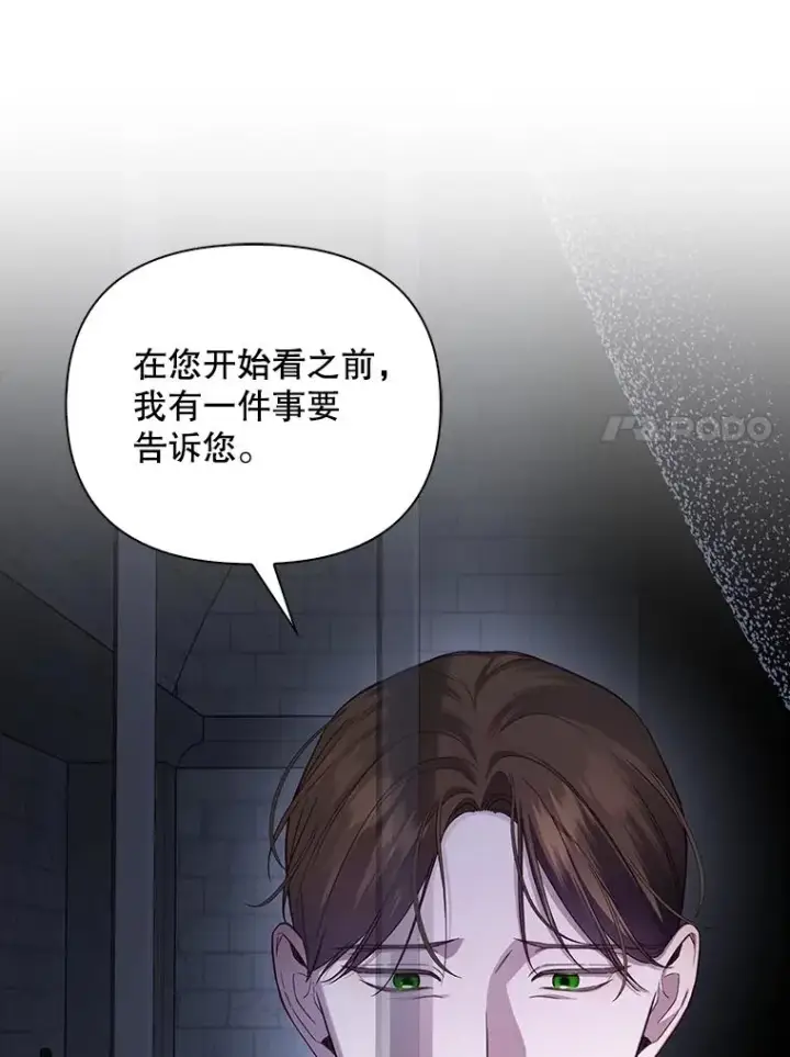 《如何隐藏皇帝的孩子》95.母亲的日记图67