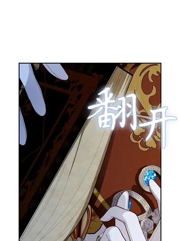 《如何隐藏皇帝的孩子》95.母亲的日记图75