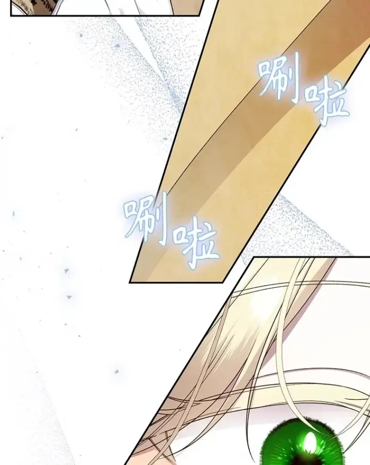 《如何隐藏皇帝的孩子》95.母亲的日记图78