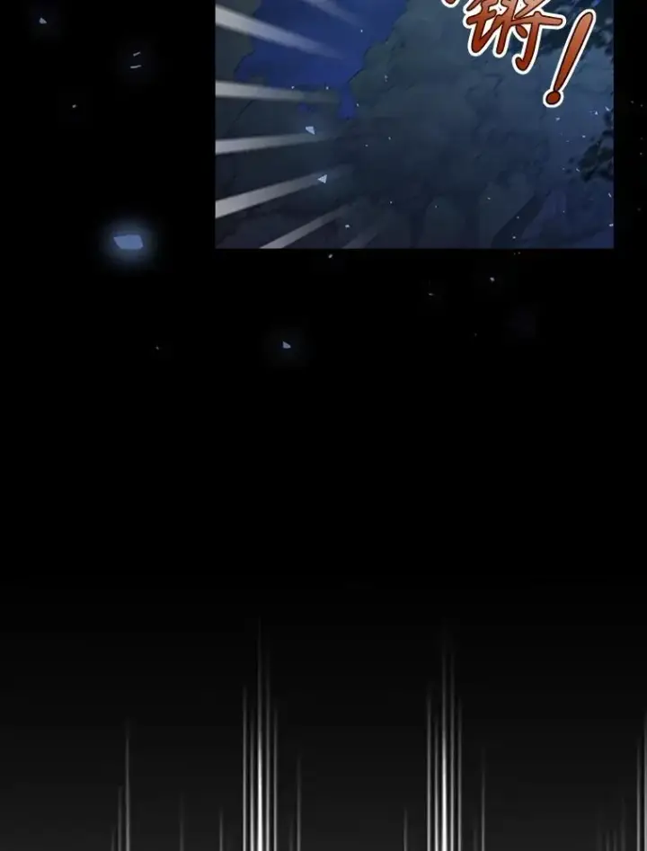《如何隐藏皇帝的孩子》95.母亲的日记图8