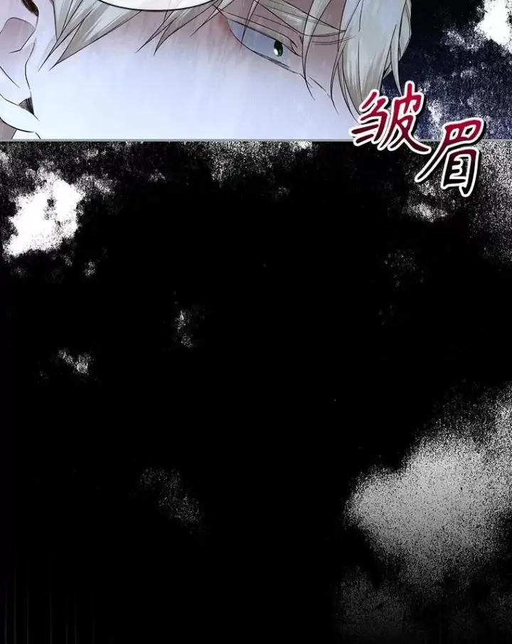 《如何隐藏皇帝的孩子》95.母亲的日记图84