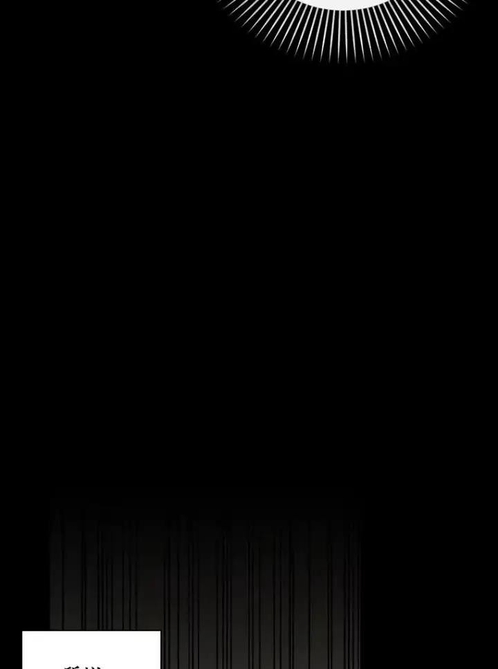 《如何隐藏皇帝的孩子》96.被撕掉的秘密图10
