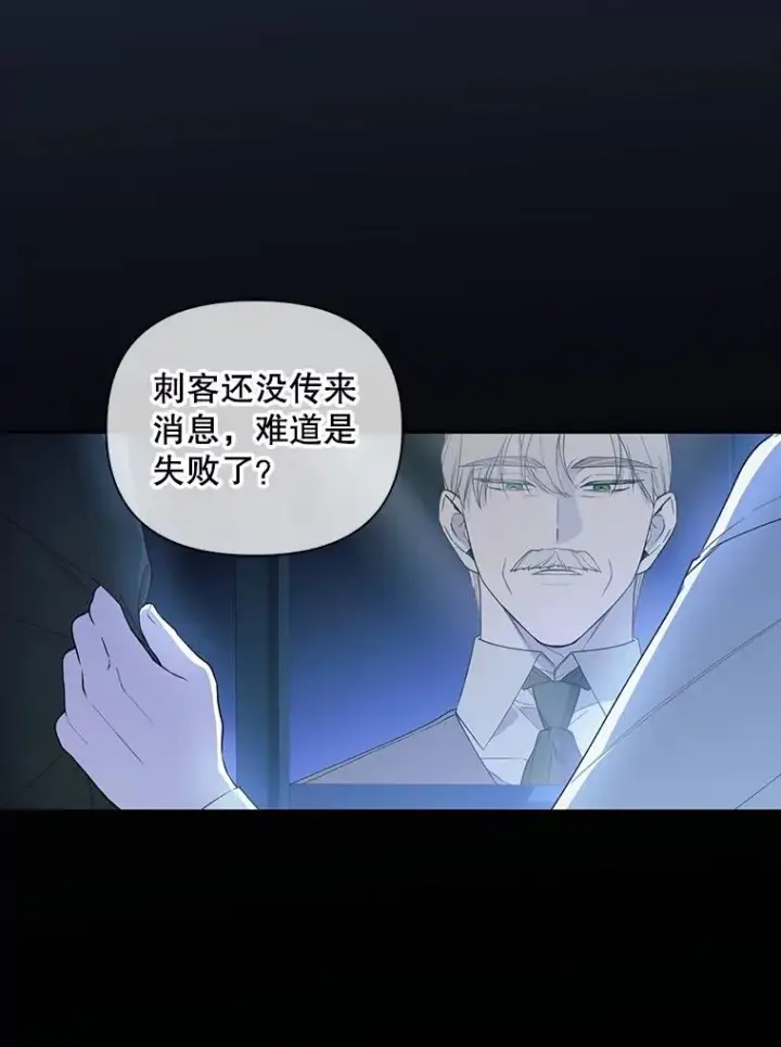 《如何隐藏皇帝的孩子》96.被撕掉的秘密图107