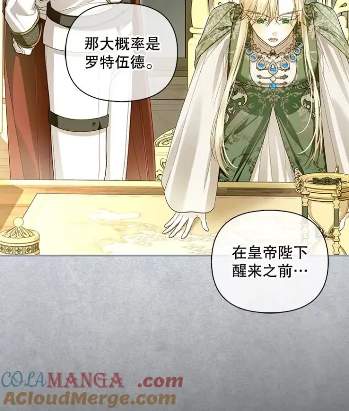 《如何隐藏皇帝的孩子》96.被撕掉的秘密图113
