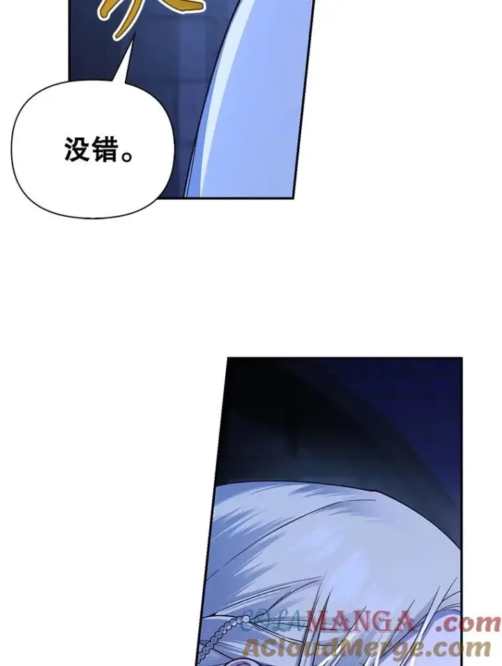 《如何隐藏皇帝的孩子》96.被撕掉的秘密图21