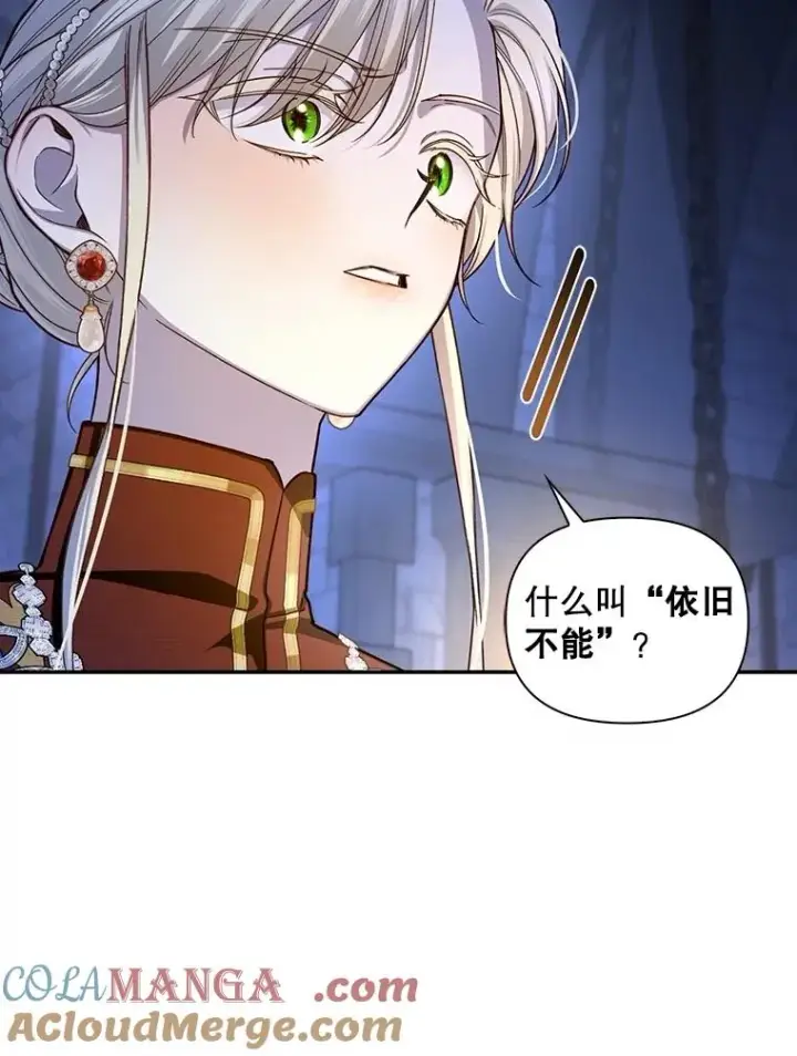 《如何隐藏皇帝的孩子》96.被撕掉的秘密图29