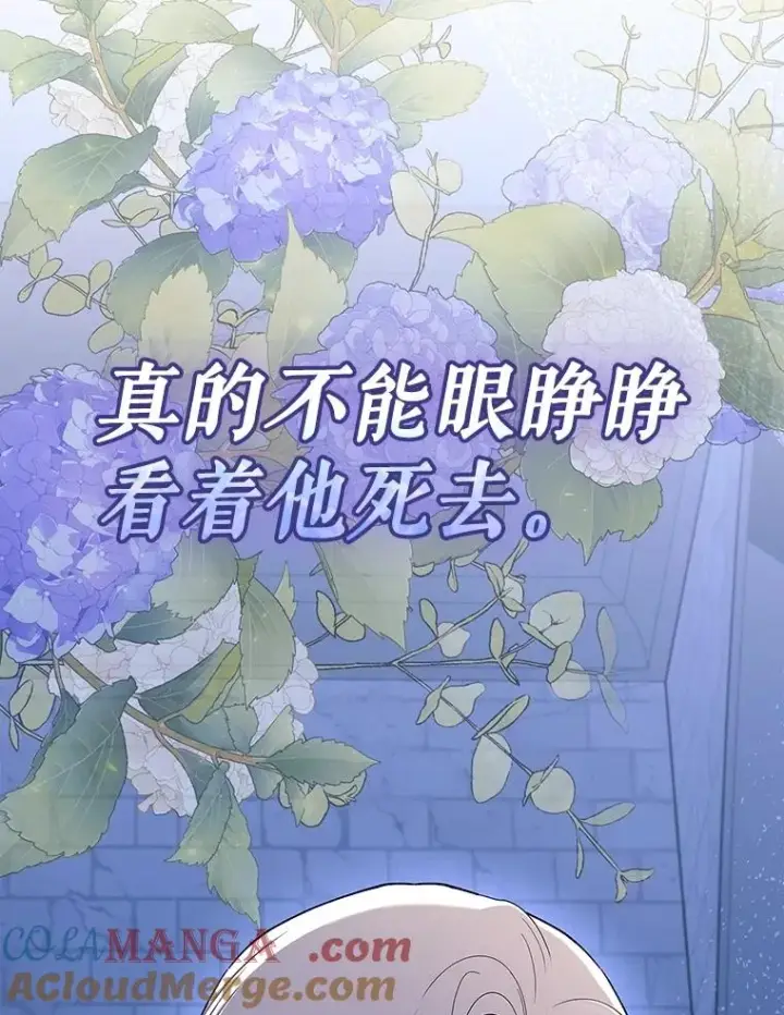 《如何隐藏皇帝的孩子》96.被撕掉的秘密图93