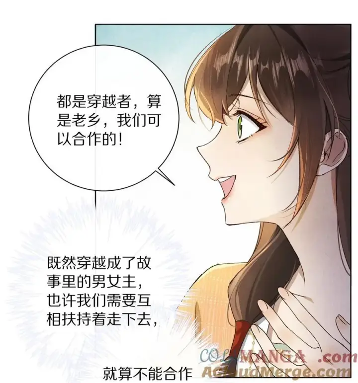 《杀掉男主的一千次尝试》052 这位穿越同仁，请不要担心！图29